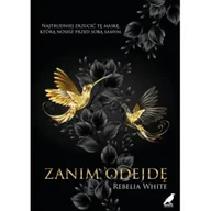 Literatura obyczajowa - Zanim odejdę - miniaturka - grafika 1