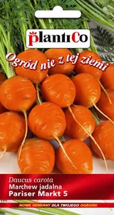 Marchew jadalna Pariser Markt 5 2 g PLANTICO - Nasiona i cebule - miniaturka - grafika 1