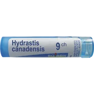 Homeopatia - Boiron Hydrastis canadensis, 9CH,gran,4g(MZ19185) 3071708 - miniaturka - grafika 1