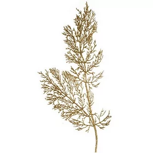 Sztuczny Liść na łodydze z brokatem, wys. 90 cm - Ozdoby bożonarodzeniowe - miniaturka - grafika 1