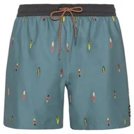Spodenki męskie - Spodenki męskie Protest PRTFIRDOWS beachshort PROTEST S - miniaturka - grafika 1