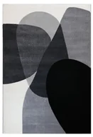Dywany - Dywan Nowoczesny Lara 258A_Sfi28 Czarny Biały Szary 160X230 - miniaturka - grafika 1