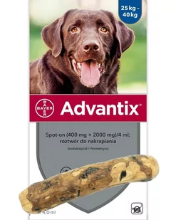 Bayer Advantix dla psów 25-40kg 4 pipety x 4ml) + Patyk z drzewa oliwnego 4DOGS L pies powyżej 20kg) 56109-uniw - Artykuły przeciw pasożytom - miniaturka - grafika 1
