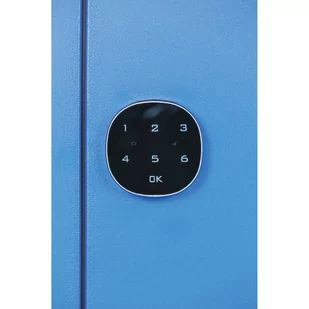 Szafka ubraniowa ze schowkami, 4 schowki, 1850 x 300 x 500 mm, zamek elektroniczny z kodem, drzwi laminowane, dąb naturalny - Szafki biurowe - miniaturka - grafika 2