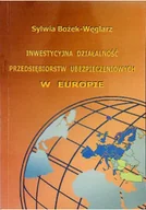Biznes - Inwestycyjna działalność przedsiębiorstw - miniaturka - grafika 1
