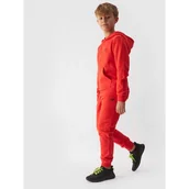 Spodnie męskie - Spodnie dresowe 4F Jr 4FJWMM00TTROM0811-70S - miniaturka - grafika 1