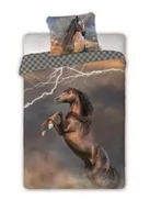 Pościel dla dzieci - Faro Pościel bawełniana 160x200 koń piorun szachownica Horses 003 młodzieżowa poszewka 70x80 - miniaturka - grafika 1