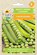 Nasiona i cebule - Groch siewny łuskowy CUD KELVEDONU (wczesny) Pisum sativum L. - miniaturka - grafika 1