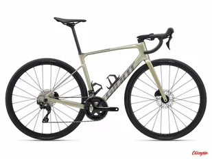 Rower Giant Defy Advanced 2 Bay Leaf 2024 - Rowery - miniaturka - grafika 1