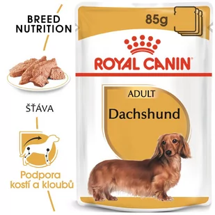 Royal Canin Breed Dachshund Dorosłe Saszetka 85g 12807 - Mokra karma dla psów - miniaturka - grafika 2