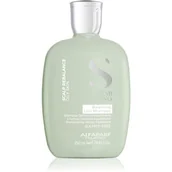 Szampony do włosów - ALFAPARF SZAMPON SCALP BALANCING wł. TŁUSTE 250 ml - miniaturka - grafika 1