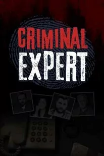 Criminal Expert (PC) klucz Steam - Gry PC Cyfrowe - miniaturka - grafika 1