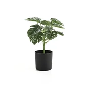 Sztuczne kwiaty - Sztuczna roślina EVERGREEN, Monstera, W 250 mm, 1 szt. - miniaturka - grafika 1