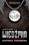 E-booki - fantastyka i horror - Wiedźmin. Historia fenomenu - miniaturka - grafika 1