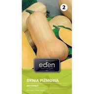 Nasiona i cebule - Dynia piżmowa Butternut 1 g Eden - miniaturka - grafika 1