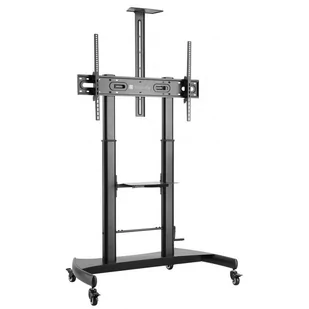 Techly Stojak mobilny Techly LCD/LED 60''-100'', 100kg Do TAblic Interatywnych 107111 - Uchwyty do monitorów - miniaturka - grafika 1