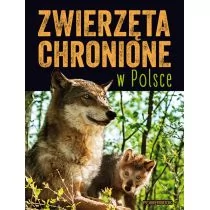 Zwierzęta chronione w Polsce - Albumy inne - miniaturka - grafika 1