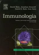 Książki medyczne - Urban & Partner Immunologia - David Male, Jonathan Brostoff, Roth David B., Ivan Roitt - miniaturka - grafika 1