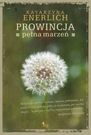 E-booki - literatura obca - Prowincja pełna marzeń - miniaturka - grafika 1