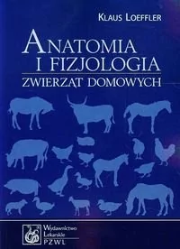 Anatomia i fizjologia zwierząt domowych - Klaus Loeffler