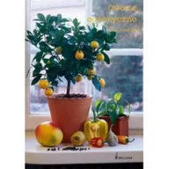 Dom i ogród - Owoce egzotyczne - miniaturka - grafika 1