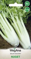Nasiona i cebule - Seler naciowy Nuget 0,5g nasiona - WegAna - miniaturka - grafika 1