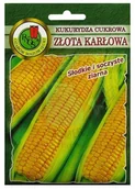 Nasiona i cebule - Kukurydza cukrowa Złota karłowa 20 g PNOS - miniaturka - grafika 1