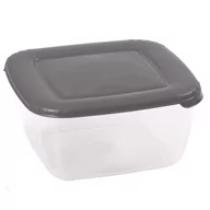 Pojemniki kuchenne - Domotti ALBERT KWADRATOWY POJEMNIK DO ŻYWNOŚCI 0,95 L SZARY 85452 - miniaturka - grafika 1