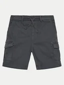 Spodenki damskie - Pepe Jeans Szorty materiałowe Ted PB800790 Szary Regular Fit - miniaturka - grafika 1