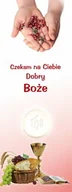 Ikony i obrazy sakralne - Baner na I Komunię Świętą "Czekam na Ciebie Dobry Boże" 75x200cm - miniaturka - grafika 1