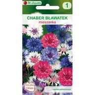 Nasiona i cebule - Chaber bławatek mieszanka W.Legutko - miniaturka - grafika 1