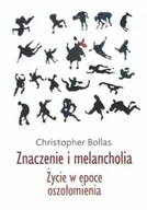 Książki o kulturze i sztuce - Znaczenie i melancholia Życie w epoce oszołomienia - miniaturka - grafika 1