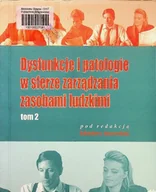 Felietony i reportaże - Dysfunkcje i patologie w sferze zarządzania zasobami ludzkimi Tom II - miniaturka - grafika 1