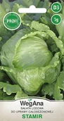Nasiona i cebule - Sałata krucha lodowa Stamir 1g nasiona - WegAna - miniaturka - grafika 1