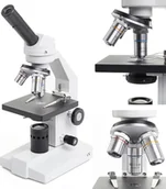 Mikroskopy i lupy - Mikroskop Optyczny Biologiczny Techrebal BM One 400x Edukacyjny Techrebal - miniaturka - grafika 1