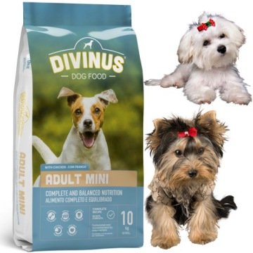 Divinus Adult mini dla ras małych 10kg