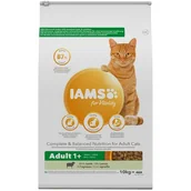 Sucha karma dla kotów - Iams Adult Lamb 10 kg - miniaturka - grafika 1
