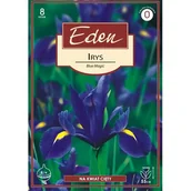 Nasiona i cebule - Irys Holandica Blue Magic 8 sztuk Eden - miniaturka - grafika 1