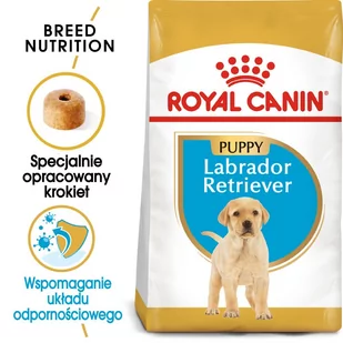 Royal Canin Labrador Retriever Junior 12 kg - Sucha karma dla psów - miniaturka - grafika 1