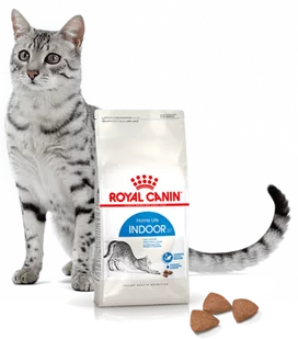 ROYAL CANIN  Indoor 27 4kg karma sucha dla kotów dorosłych, przebywających wyłącznie w domu + niespodzianka dla kota GRATIS! - Sucha karma dla kotów - miniaturka - grafika 2