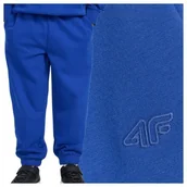 Dresy i komplety dla chłopców - Spodnie dresowe chłopięce 4F 4FJWAW25TTROM1245-36S Niebieski Roz. 140 - 4F JUNIOR - miniaturka - grafika 1