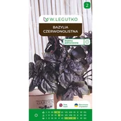 Nasiona i cebule - Bazylia czerwonolistna Ocimum basilicum nasiona ziół W.Legutko - miniaturka - grafika 1