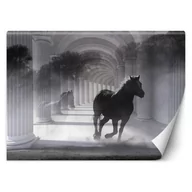 Fototapety - Fototapeta, Biegnący koń, efekt 3D (Rozmiar 450x315) - miniaturka - grafika 1