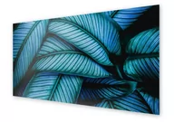 Dekoracje domu - Panel kuchenny HOMEPRINT Zielone liście tropikalne 100x50 cm - miniaturka - grafika 1