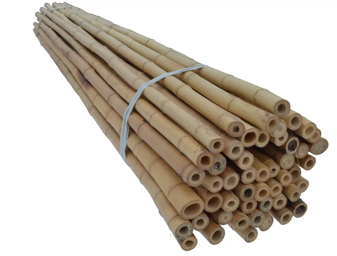 Tyczki bambusowe 210 cm 30/35  mm /10 szt/ DEKOR