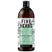 Szampony do włosów - Barwa Five Herbs szampon balansujcy 480ml - miniaturka - grafika 1