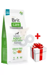 BRIT CARE Dog Grain-free Adult Large Breed Salmon 12kg - Sucha karma dla psów - miniaturka - grafika 1