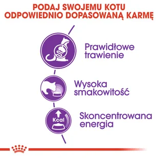 ROYAL CANIN  Sensible 4kg 33 karma sucha dla kotów dorosłych, o wrażliwym przewodzie pokarmowym + niespodzianka dla kota GRATIS! - Sucha karma dla kotów - miniaturka - grafika 7