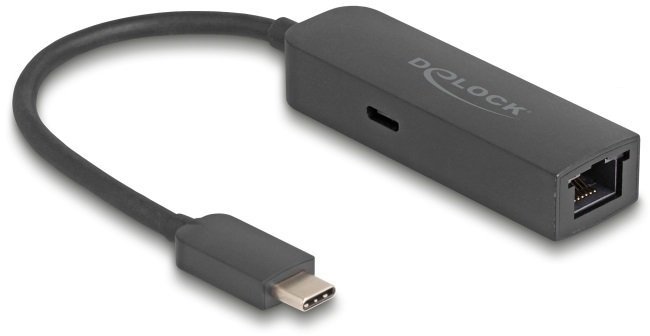 Karta sieciowa Delock USB Type-C™ Adapter do 2,5 Gigabit LAN mit Power Delivery 100 Watt 66938