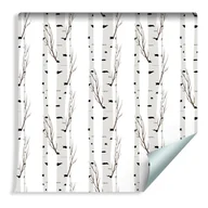 Tapety - Muralo Tapeta Piękne Delikatne Brzozy 418325857 T_F_10mx53_W_418325857_S - miniaturka - grafika 1